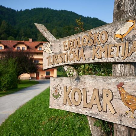 Villa Tourist Farm Kolar Ljubno Exterior foto