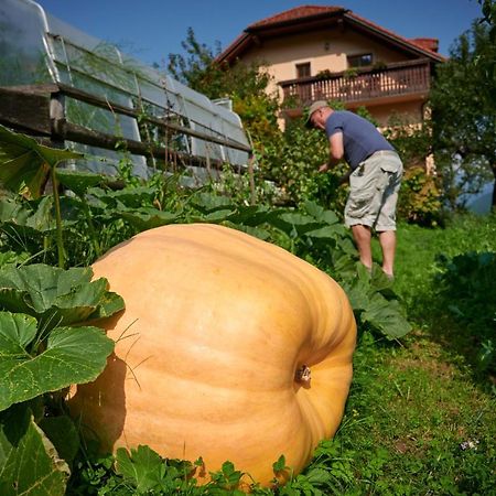 Villa Tourist Farm Kolar Ljubno Exterior foto