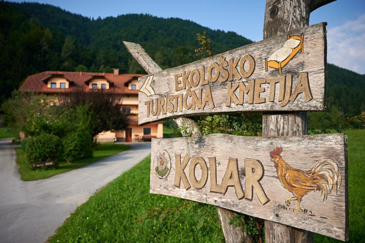 Villa Tourist Farm Kolar Ljubno Exterior foto