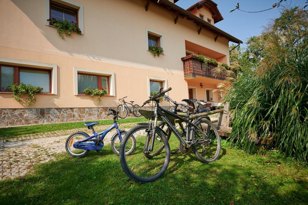 Villa Tourist Farm Kolar Ljubno Exterior foto