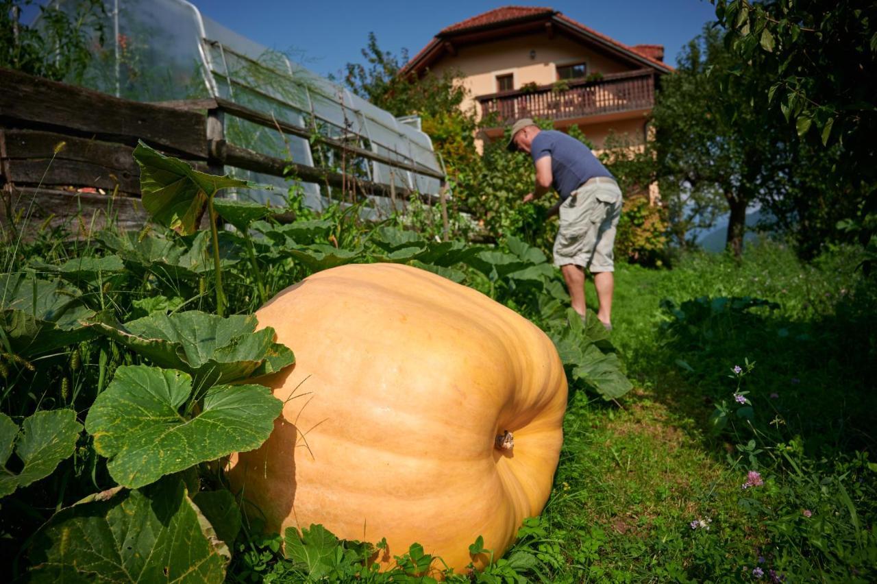Villa Tourist Farm Kolar Ljubno Exterior foto