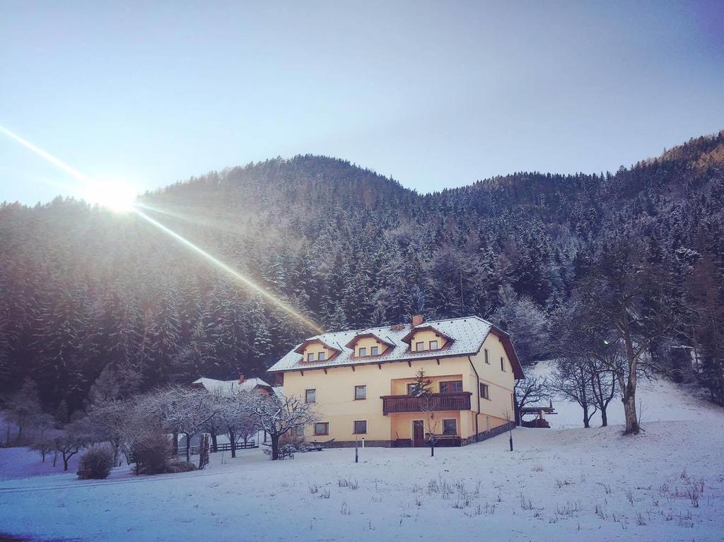 Villa Tourist Farm Kolar Ljubno Exterior foto